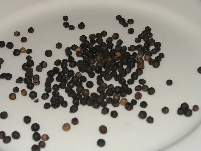 Whole black peppercorns scattered on a white plate