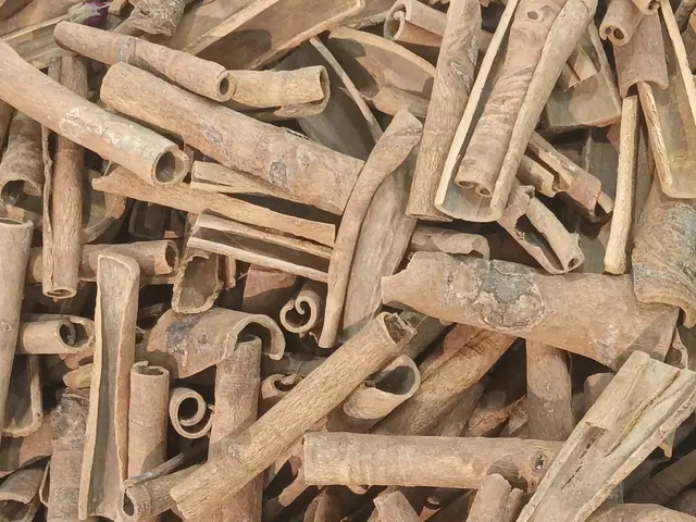 A pile of rolled cinnamon bark quills