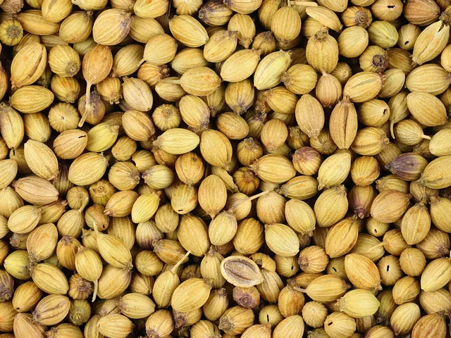 Close-up of round, straw-coloured whole coriander seeds